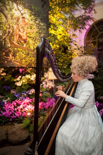 Elegant Harpist (photo © Stu Morley)